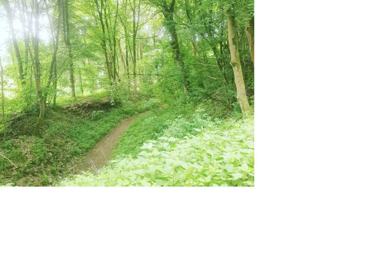 Aussergewoehnliche Auszeit - Metime1 Felsberg Ngoại thất bức ảnh