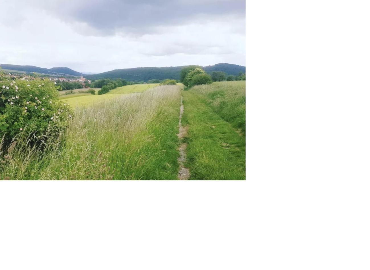 Aussergewoehnliche Auszeit - Metime1 Felsberg Ngoại thất bức ảnh